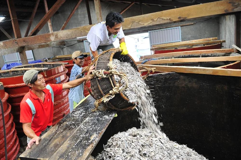 Đảo Phú Quốc có gì đặc biệt