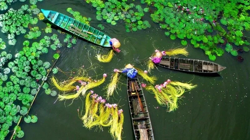 du lịch Cần Thơ tự túc