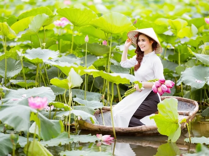 Đồng Sen Tháp Mười mang đến khung cảnh thơ mộng với những cánh đồng sen rộng lớn